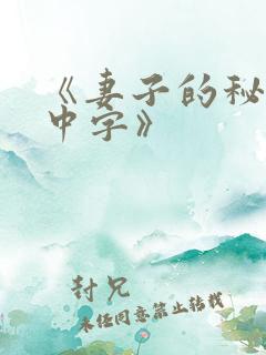 《妻子的秘密3中字》