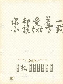 你却爱着一个他小说txt下载