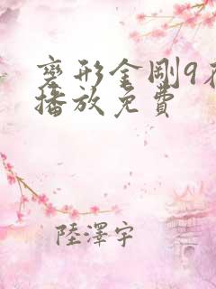 变形金刚9在线播放免费