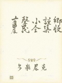 有声小说乡村小农民全集收听