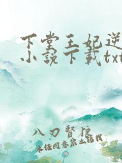 下堂王妃逆袭记小说下载txt