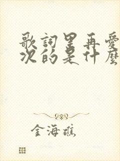 歌词里再爱我一次的是什么歌