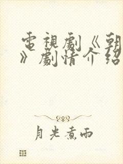 电视剧《朝雪录》剧情介绍