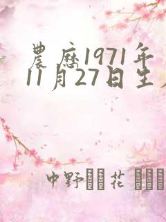 农历1971年11月27日生辰八字是