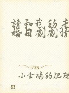 请和我的老公结婚日剧剧情