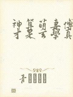 神算萌妻傅太太才是玄学真大佬婚恋