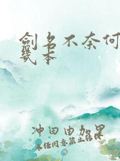 剑名不奈何一共几本