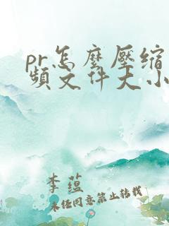 pr怎么压缩视频文件大小