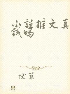 小说推文真能挣钱吗