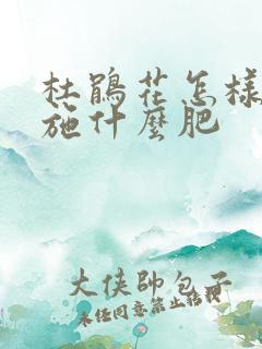 杜鹃花怎样施肥施什么肥 杜鹃花怎样施肥施什么肥