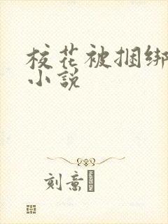校花被捆绑调教小说