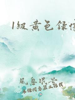 1级黄色录像.