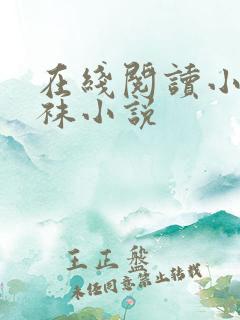 在线阅读小姨丝袜小说
