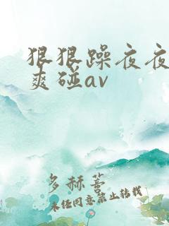 狠狠躁夜夜躁人爽碰av