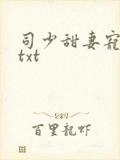 司少甜妻宠定了txt