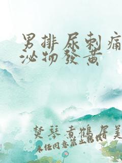 男排尿刺痛且分泌物发黄