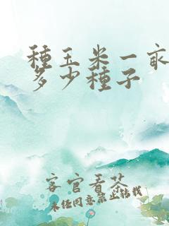 种玉米一亩地要多少种子