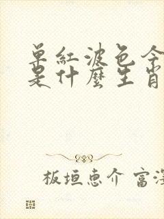 单红波色今期旺是什么生肖