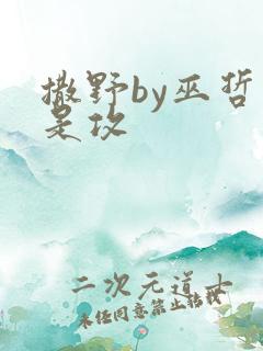 撒野by巫哲谁是攻