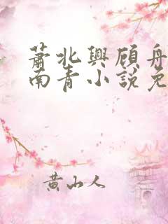 萧北兴顾舟舟沈南青小说免费阅读