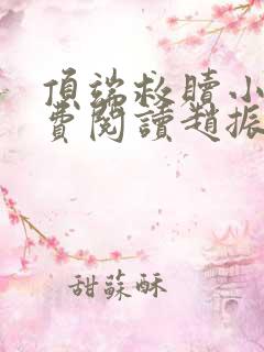 顶端救赎小说免费阅读赵振国,宋婉清