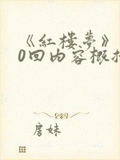 《红楼梦》前20回内容概括.