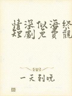 情深似海终成空短剧免费观看大结局