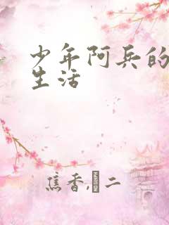 少年阿兵的快乐生活