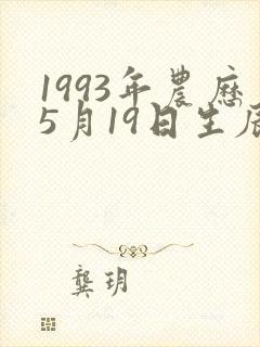1993年农历5月19日生辰八字
