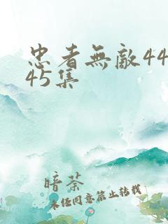 忠者无敌44集45集