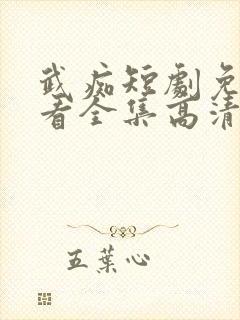 武痴短剧免费观看全集高清
