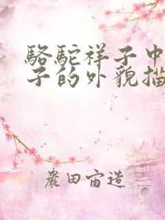 骆驼祥子中对祥子的外貌描写