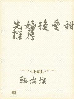 先婚后爱甜宠文推荐