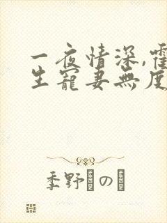 一夜情深,霍先生宠妻无度小说全部章节
