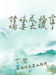 错嫁成婚霍少小娇妻太飒了
