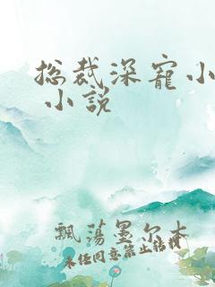 总裁深宠小甜妻 小说