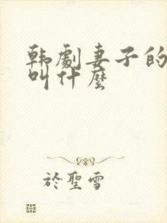 韩剧妻子的谎言叫什么