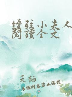 续弦小夫人免费阅读全文