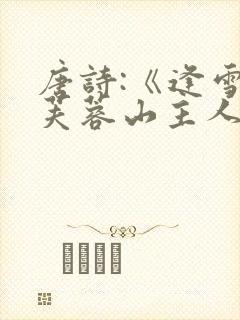 唐诗:《逢雪宿芙蓉山主人》