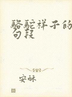 骆驼祥子的精彩句段