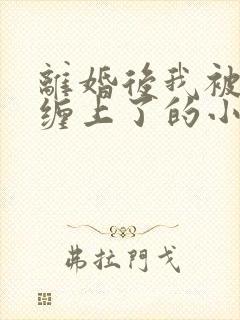 离婚后我被前夫缠上了的小说