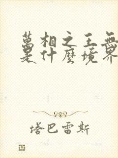 万相之王无双侯是什么境界