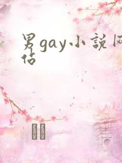 男gay小说网站