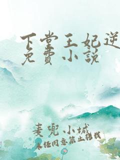 下堂王妃逆袭记免费小说
