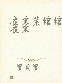 夜寒叶绾绾和司夜寒
