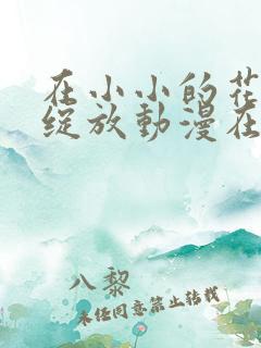 在小小的花蕾里绽放动漫在线观看