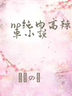np纯肉高辣公车小说