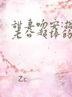 甜妻吻安:总裁老公超棒的完本