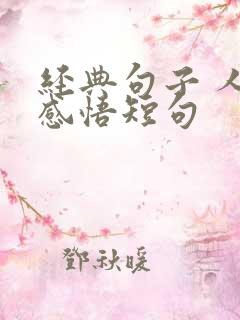 经典句子 人生感悟短句