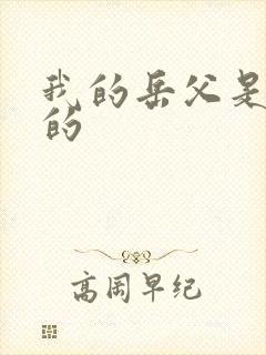 我的岳父是崇祯的